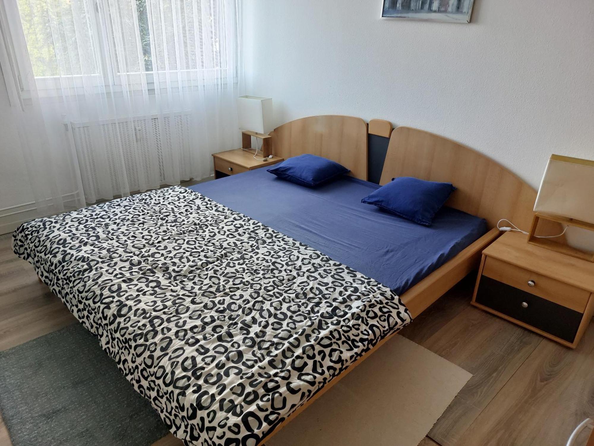 3 Zimmer Apartment In Saint Louis, Nahe Euroairport 外观 照片